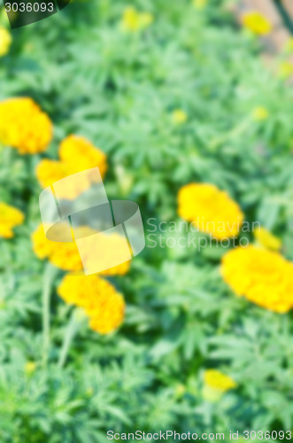 Image of Background