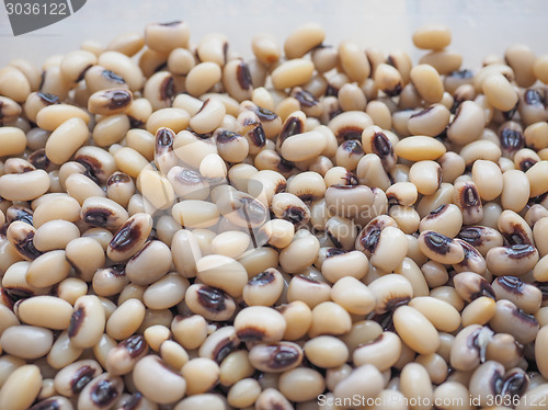 Image of Beans salad