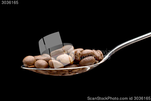 Image of Spoon with coffee beans isolated.