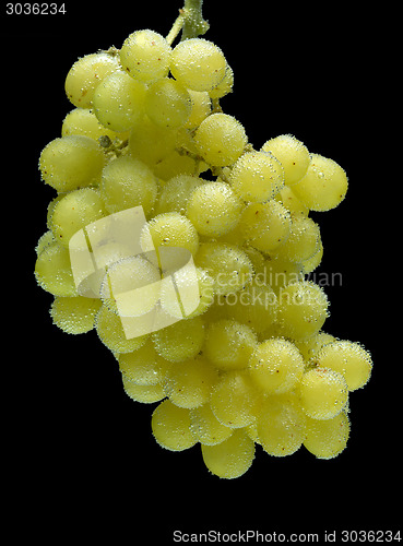 Image of bunch of grapes on a black background