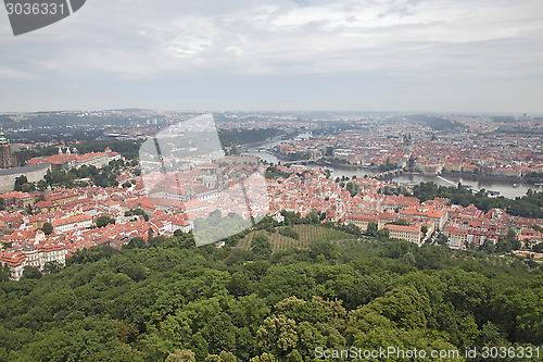 Image of Roofs of Prague