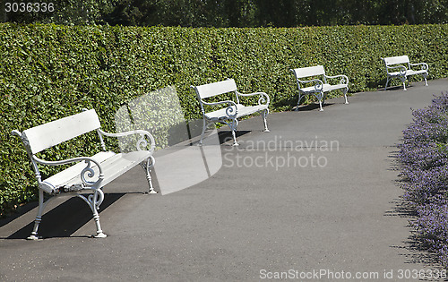 Image of Row of park benches