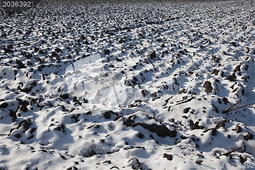 Image of Snowy field