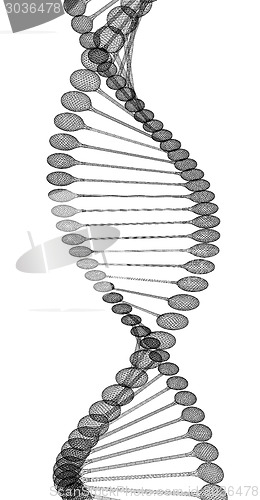 Image of DNA structure model