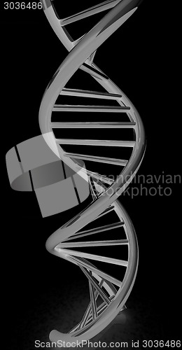 Image of DNA structure model