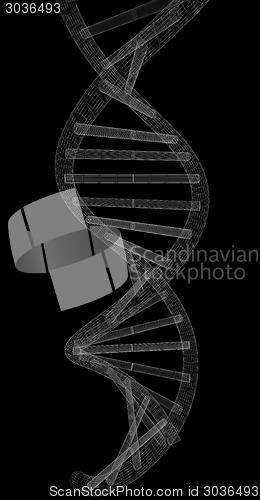 Image of DNA structure model