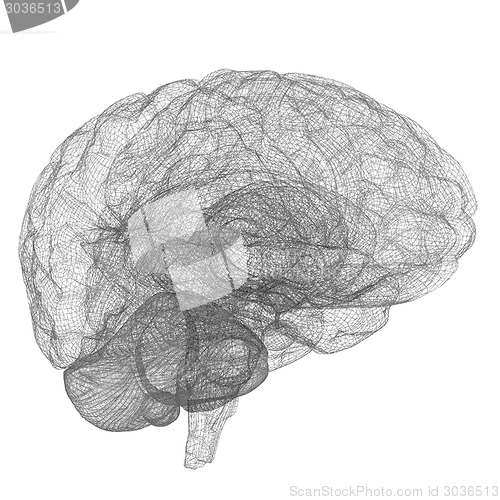 Image of Creative concept of the human brain