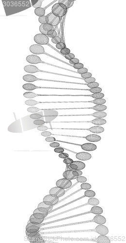 Image of DNA structure model