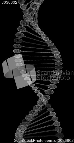 Image of DNA structure model