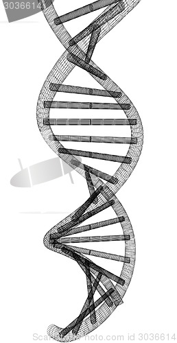 Image of DNA structure model