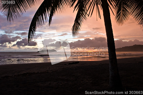 Image of Tropical Sunset