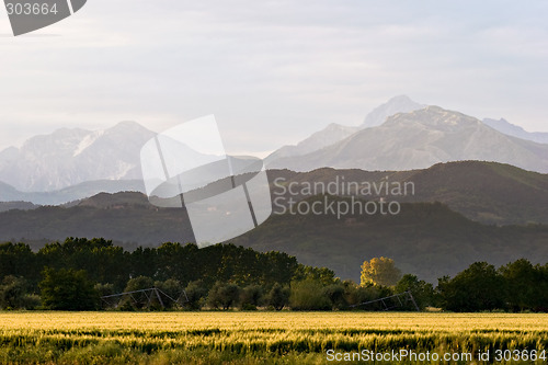Image of Field and Mountains