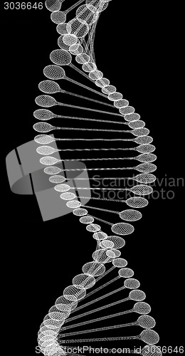 Image of DNA structure model