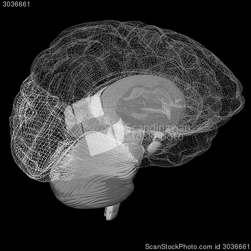 Image of Creative concept of the human brain