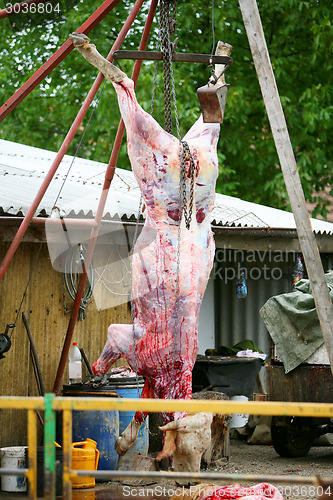 Image of Peeled cow