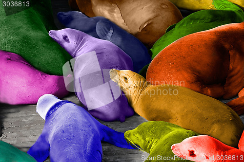 Image of Colorful abstract of sea lions resting on dock
