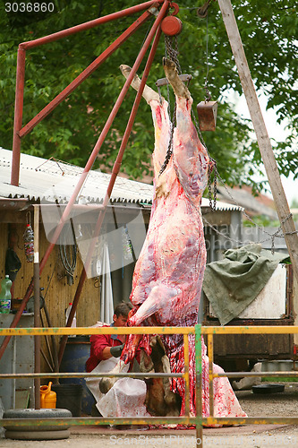 Image of Butcher cuting a cow