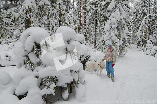 Image of The woman with a dog on walk in a winter wood