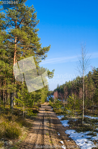 Image of Spring landscape with forest road