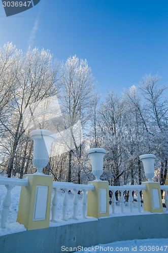 Image of A beautiful city park with trees covered with hoarfrost