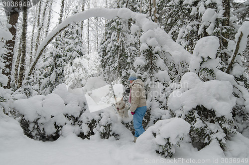 Image of The woman with a dog on walk in a winter wood