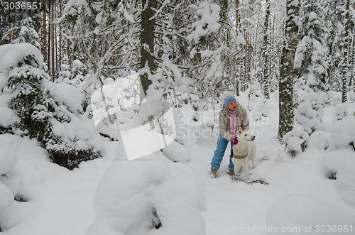 Image of The woman with a dog on walk in a winter wood