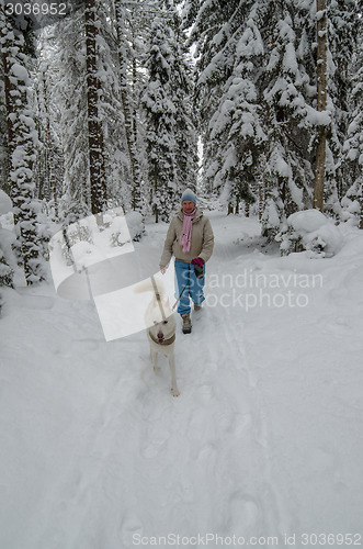 Image of The woman with a dog on walk in a winter wood
