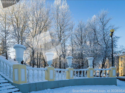 Image of A beautiful city park with trees covered with hoarfrost