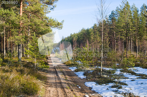 Image of Spring landscape with forest road
