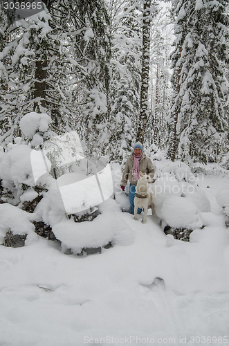 Image of The woman with a dog on walk in a winter wood