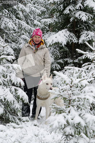 Image of The woman with a dog on walk in a winter wood