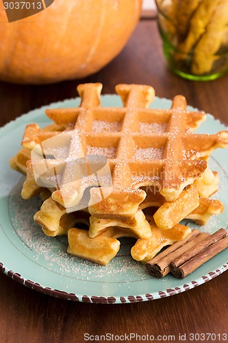 Image of pumpkin waffles with cinnamon sugar