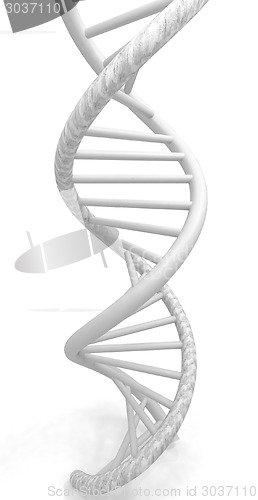Image of DNA structure model on white 