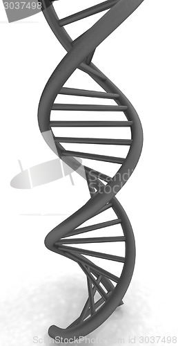 Image of DNA structure model on white 