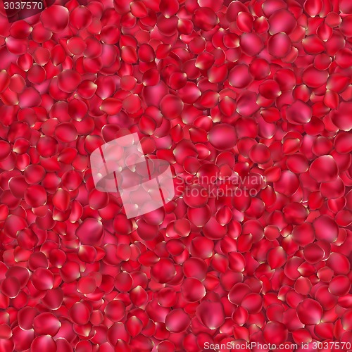 Image of Background of beautiful red rose petals. EPS 10