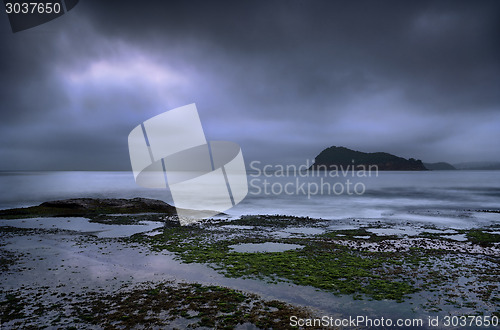 Image of Silver Pearl - Pearl Beach foggy cloudy morning at dawn