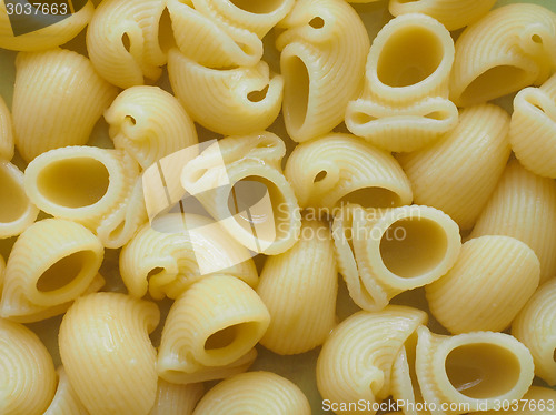 Image of Lumache pasta food