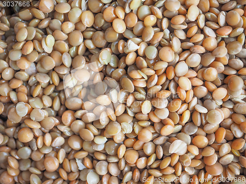 Image of Lentils food