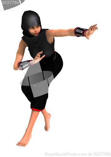 Image of Ninja