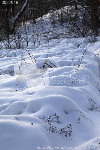 Image of Snowdrifts in winter forest after snowfall