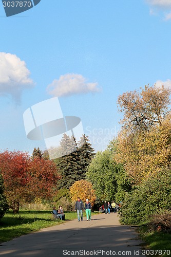 Image of autumn trees