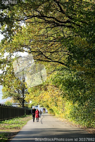 Image of autumn trees