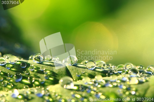 Image of water drops background