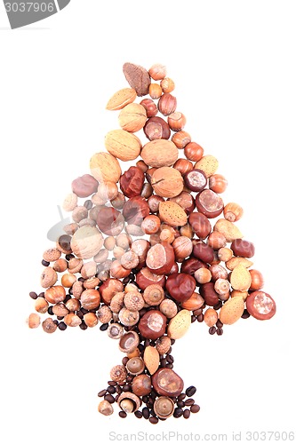 Image of christmas tree from nuts
