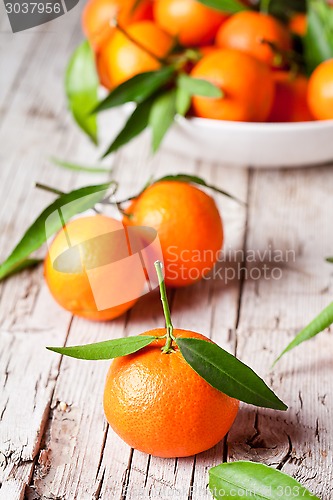 Image of fresh tangerines with leaves 