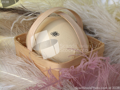 Image of egg