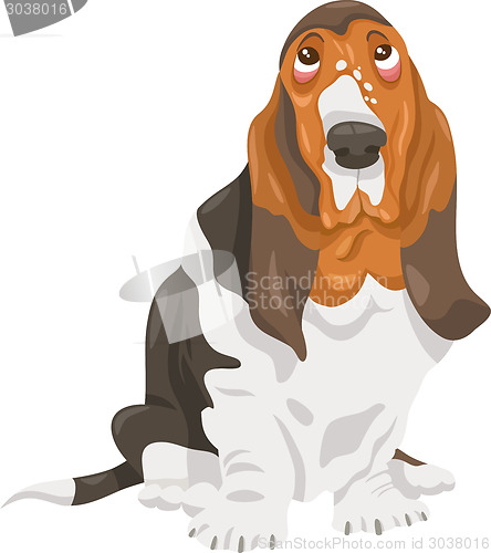 Image of basset hound dog cartoon illustration