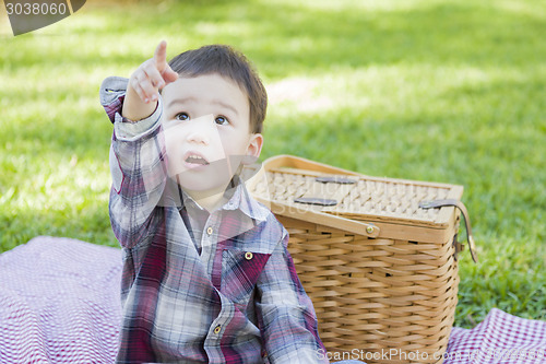 Image of Young Mixed Race Boy Sitting in Park Near Picnic Basket
