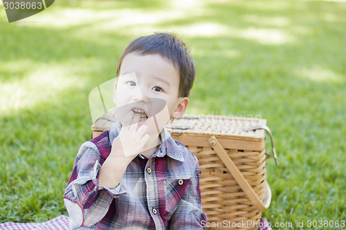 Image of Young Mixed Race Boy Sitting in Park Near Picnic Basket