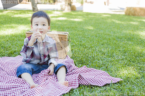 Image of Young Mixed Race Boy Sitting in Park Near Picnic Basket